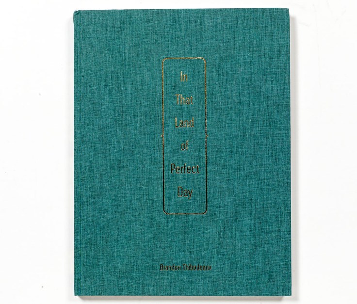 Brandon_Thibodeaux-In_That_Land_of_Perfect_Day_cover