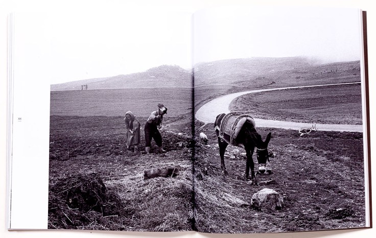 Frank_Cancian_Lacedonia_7