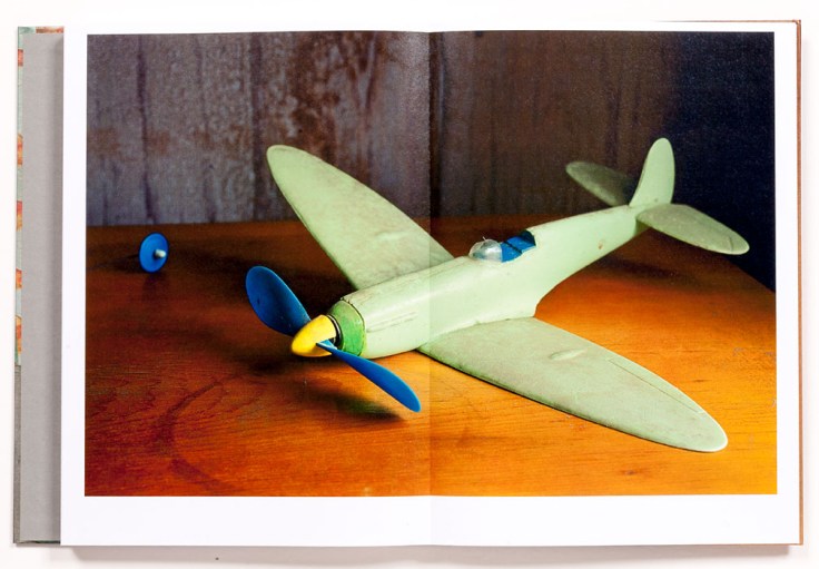 Robert_Lyons-Pictures_From_the_Next_Day_6