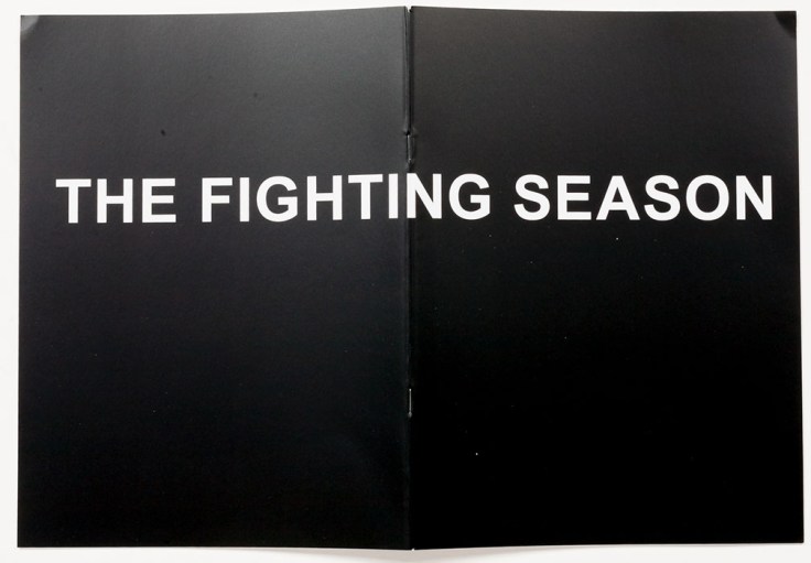 Louie_Palu-The_Fighting_Season_zine_cover