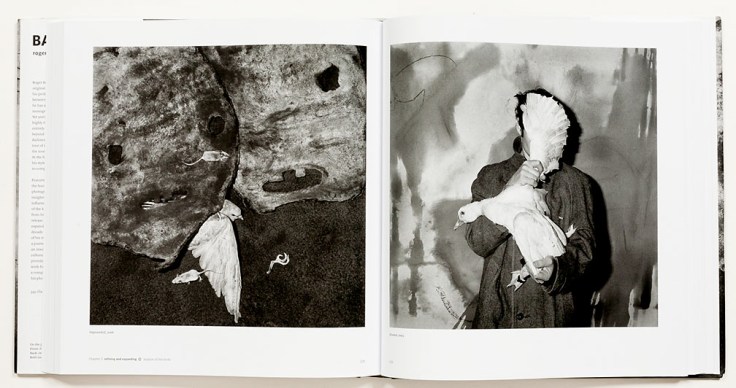 Roger_Ballen_Ballenesque_7