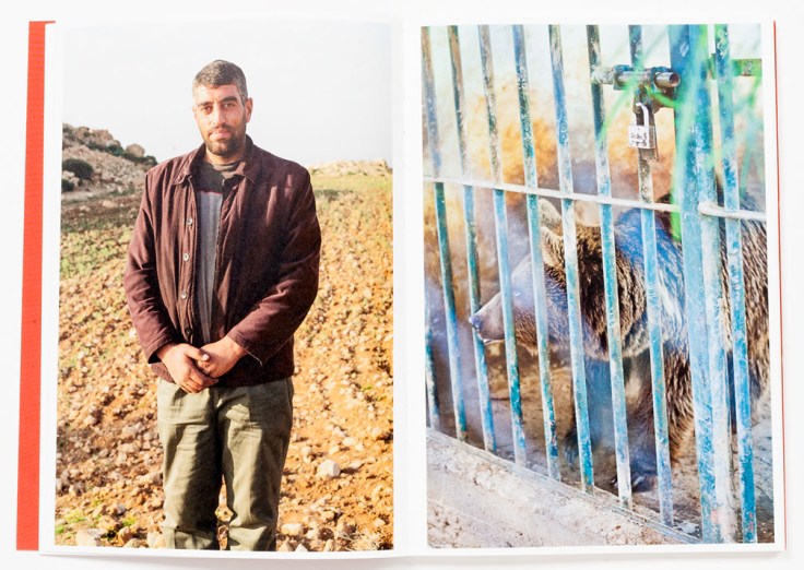 Lynn_Alleva_Lilley-Tender_Mint_4