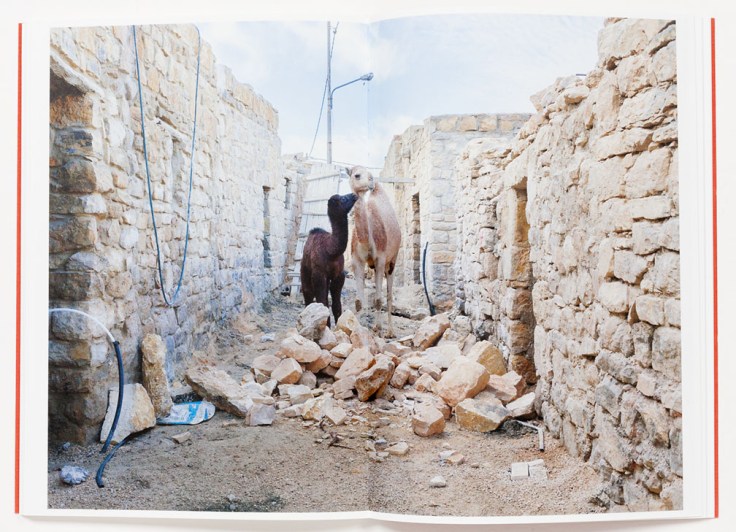 Lynn_Alleva_Lilley-Tender_Mint_5