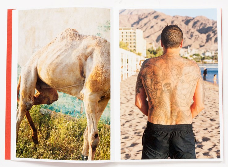 Lynn_Alleva_Lilley-Tender_Mint_6