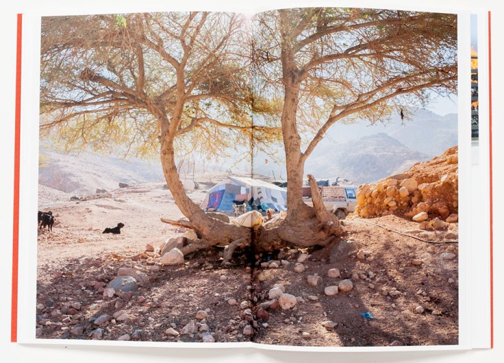 Lynn_Alleva_Lilley-Tender_Mint_7