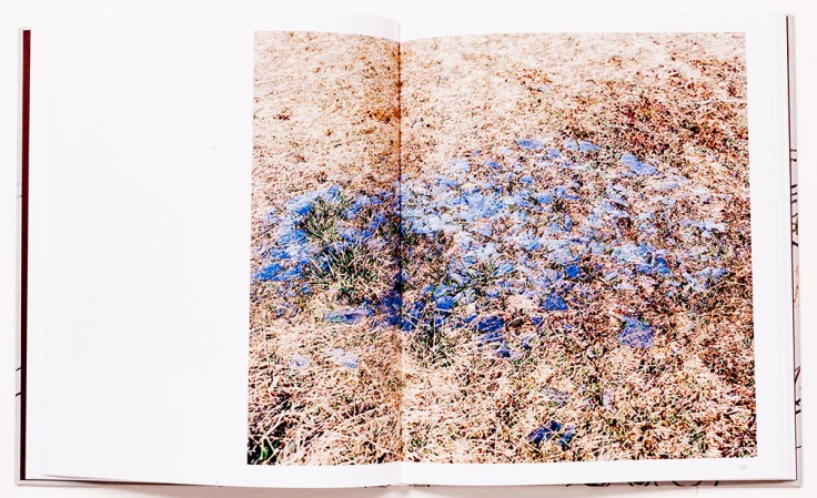 Michael_Dalton-The_Great_Falls_10