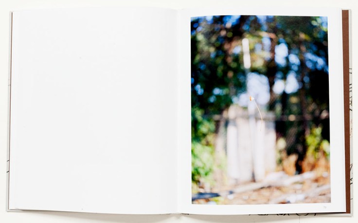 Michael_Dalton-The_Great_Falls_2