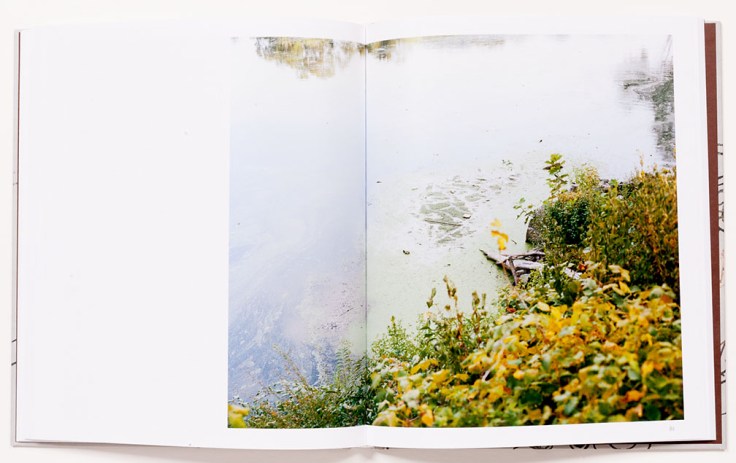 Michael_Dalton-The_Great_Falls_3