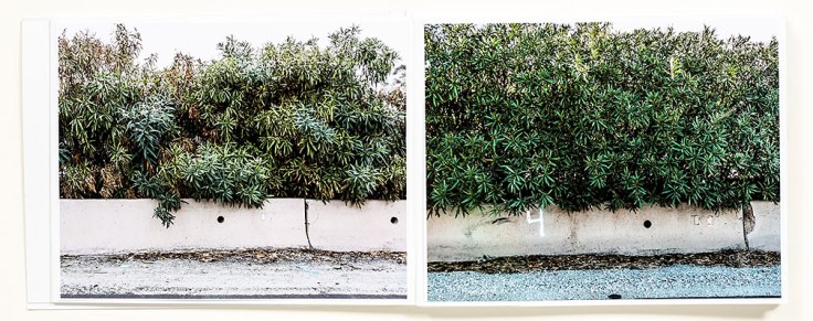 Douglas_Stockdale_Middle_Ground-En_Medio_Tierra_2