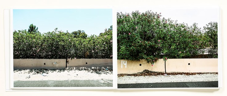 Douglas_Stockdale_Middle_Ground-En_Medio_Tierra_4