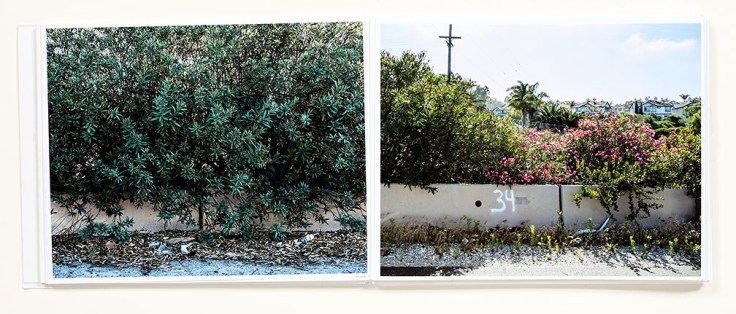 Douglas_Stockdale_Middle_Ground-En_Medio_Tierra_5