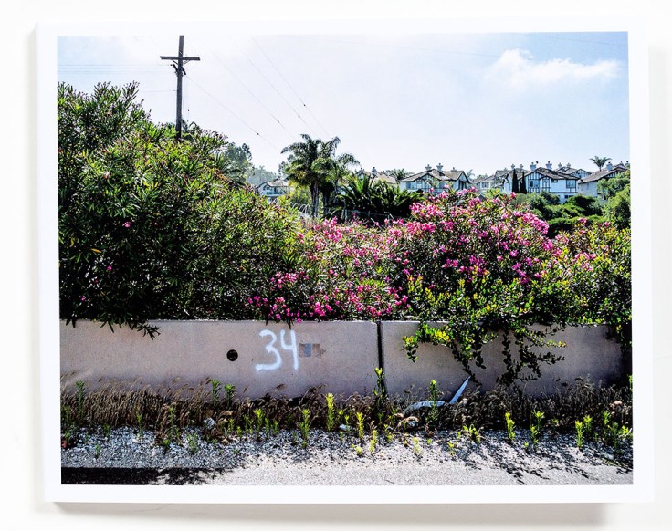 Douglas_Stockdale_Middle_Ground_cover