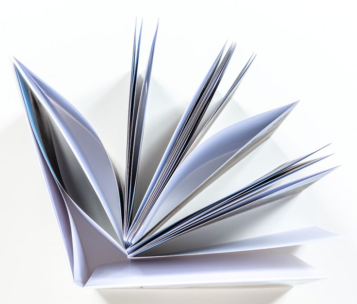 Douglas_Stockdale_Middle_Ground_leporello_top_view