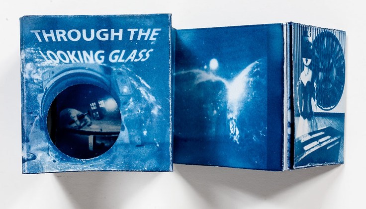 Cathy_Immordino-Through_The_Looking_Glass_1