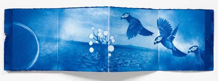 Cathy_Immordino-Through_The_Looking_Glass_2