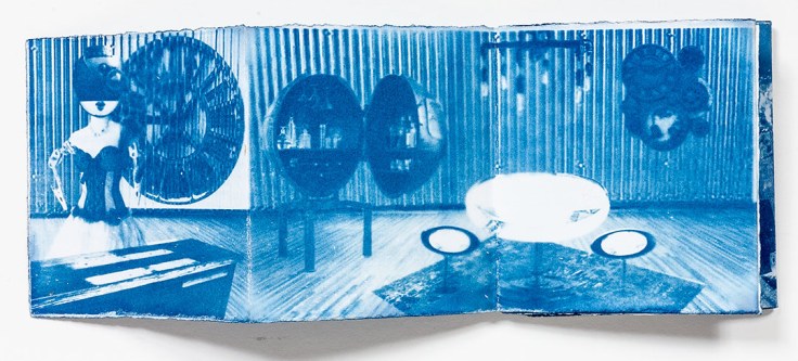 Cathy_Immordino-Through_The_Looking_Glass_3