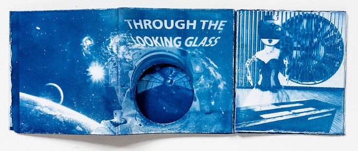 Cathy_Immordino-Through_The_Looking_Glass_4