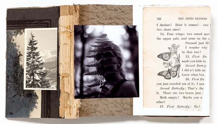 Melissa_Lazuka-Song_of_the_Cicadas_2