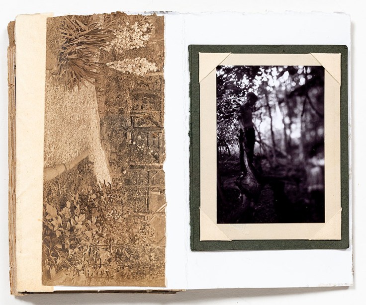 Melissa_Lazuka-Song_of_the_Cicadas_3