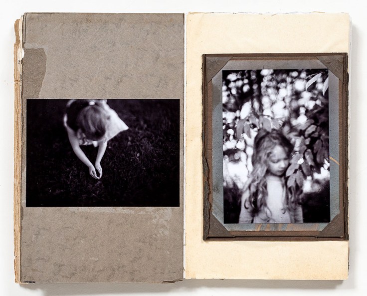 Melissa_Lazuka-Song_of_the_Cicadas_4