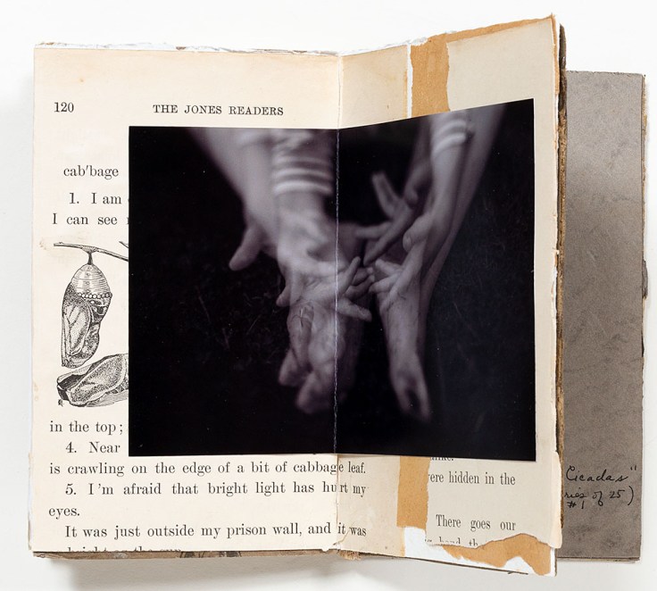 Melissa_Lazuka-Song_of_the_Cicadas_5