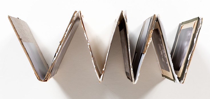 Melissa_Lazuka-Song_of_the_Cicadas_top_view