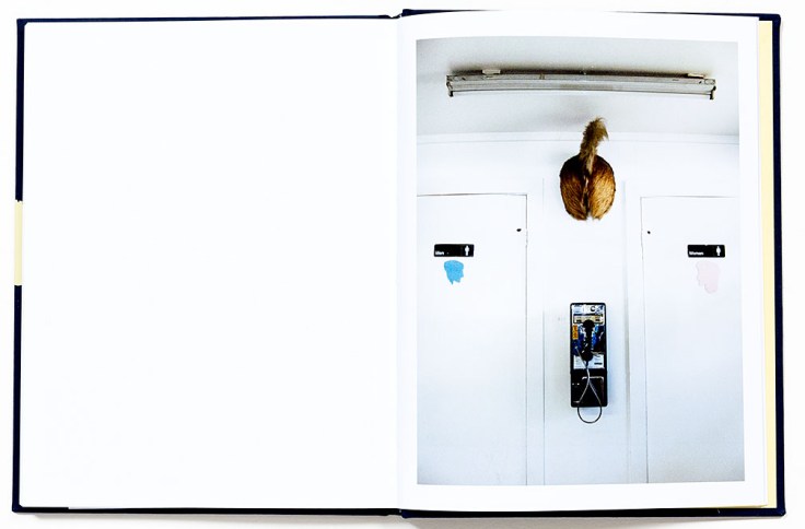 Tara_Wray_Too-Tired_for_Sunshine_10