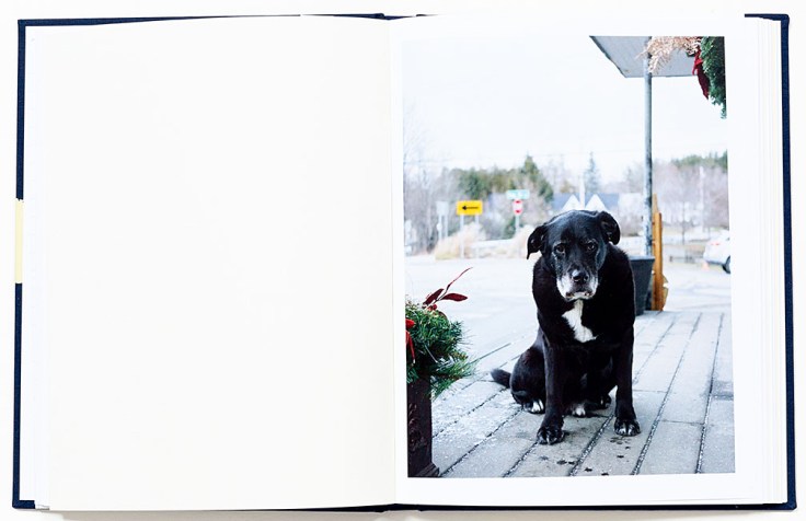 Tara_Wray_Too-Tired_for_Sunshine_2