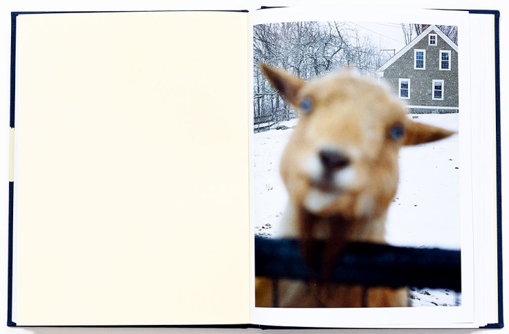 Tara_Wray_Too-Tired_for_Sunshine_7