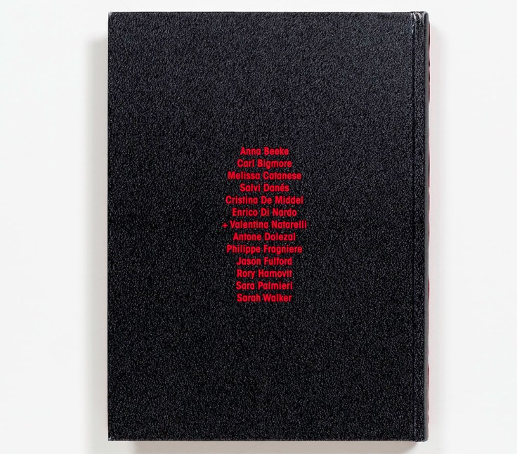 A_Place_Both_Wonderful_and_Strange_back_cover