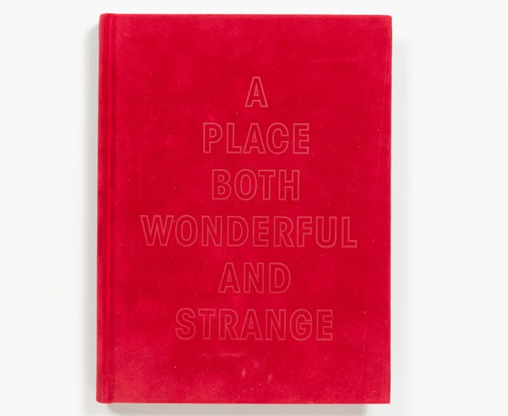 A_Place_Both_Wonderful_and_Strange_cover