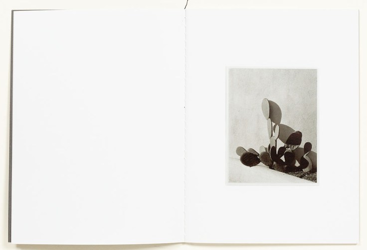 Ernesto_Esquer_In_No_Time_1