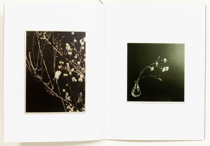 Ernesto_Esquer_In_No_Time_3