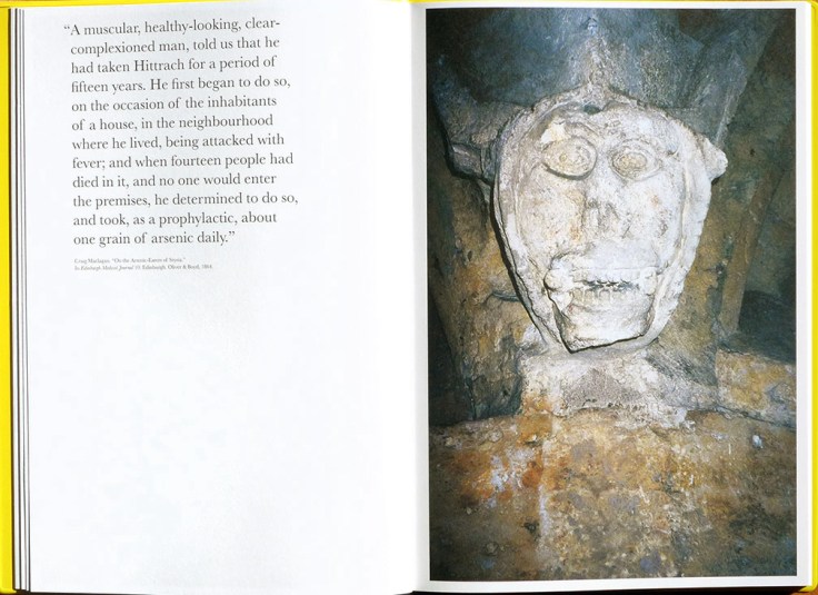 03-Brugner-Arsenic.jpg