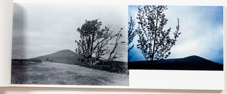 Ekaterina_Vasilyeva_Shipwrecked_8