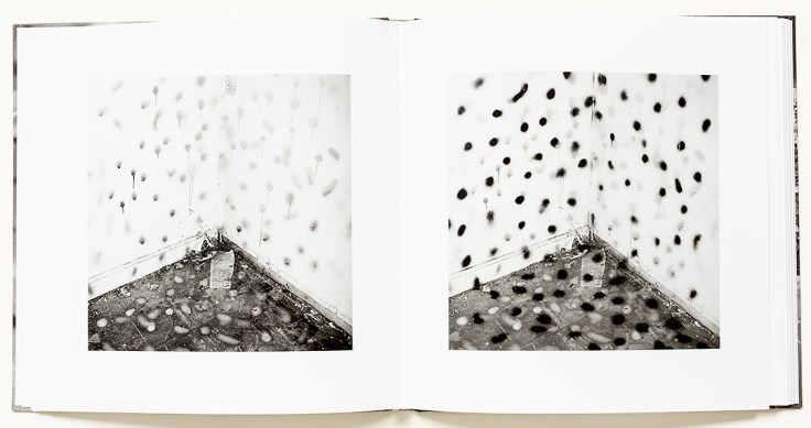 john_divola_vandalism_1