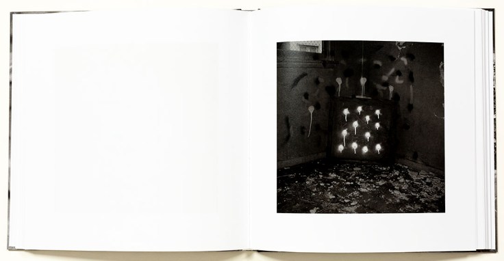 john_divola_vandalism_2