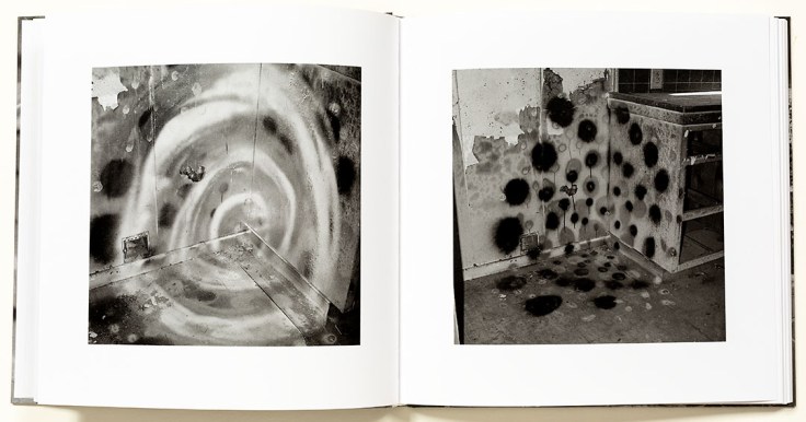 john_divola_vandalism_4