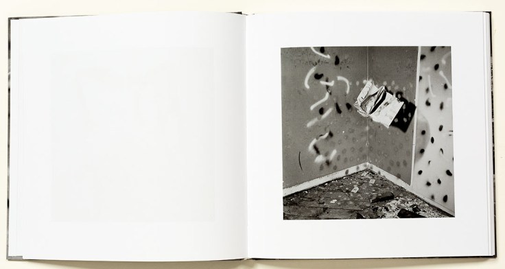 john_divola_vandalism_6