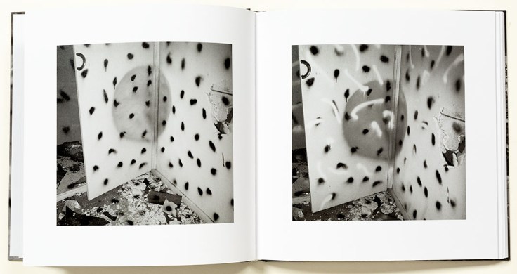 john_divola_vandalism_7