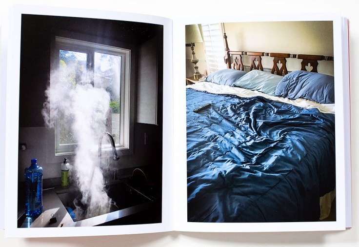 Lorena_Turner_A_Habit_of_Self_Deceit_2