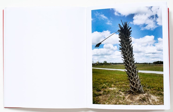 Lorena_Turner_A_Habit_of_Self_Deceit_4