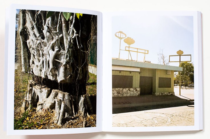 Lorena_Turner_A_Habit_of_Self_Deceit_5