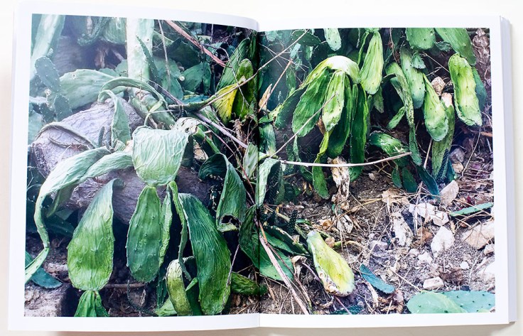 Lorena_Turner_A_Habit_of_Self_Deceit_6