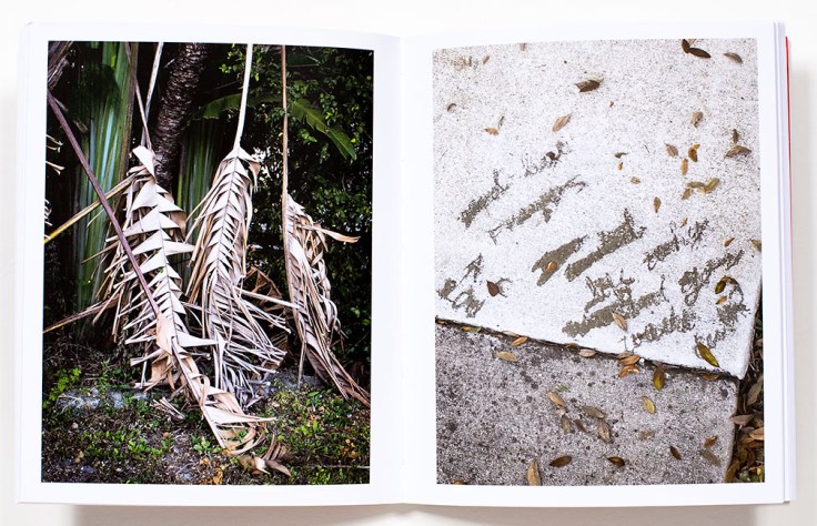 Lorena_Turner_A_Habit_of_Self_Deceit_7