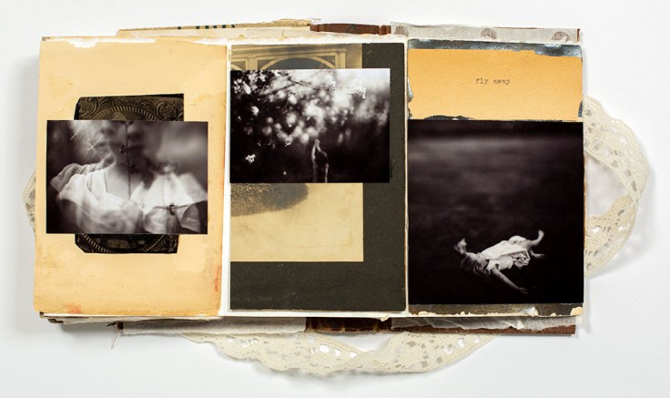 Melissa_Lazuka-Fly_1