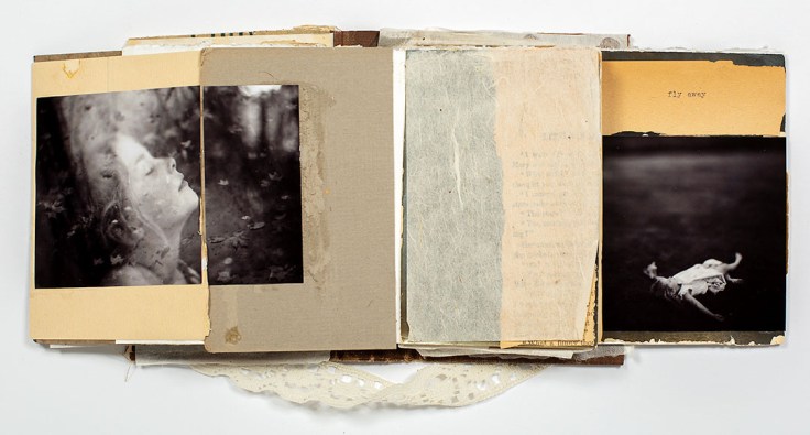 Melissa_Lazuka-Fly_3