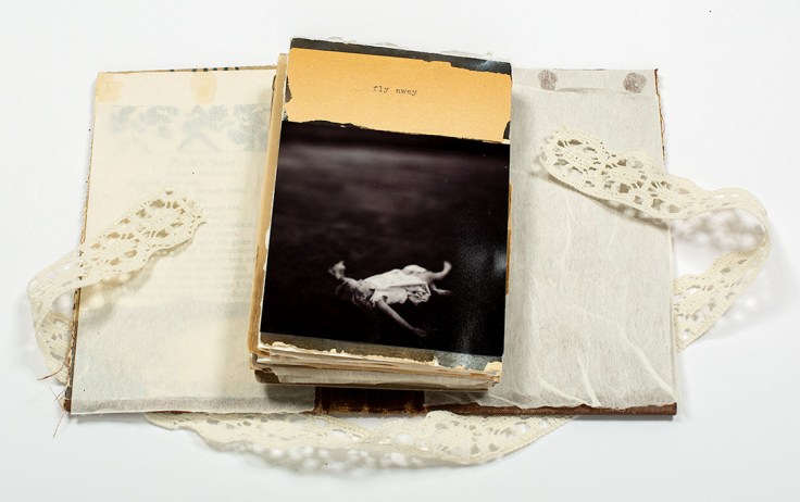 Melissa_Lazuka-Fly_away_artist-book-cover
