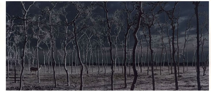 09-This Empty World.jpg