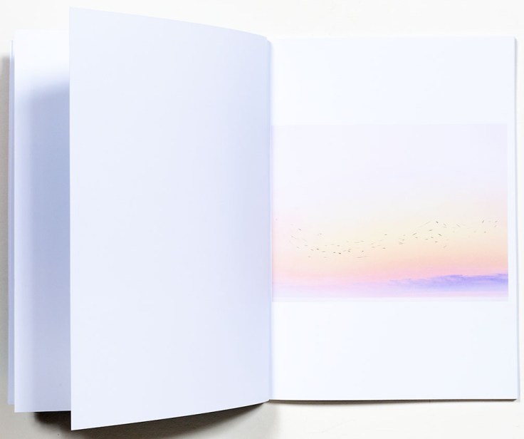 Caleb_Cain_Marcus-A_Brief_Moment_After_Death_2